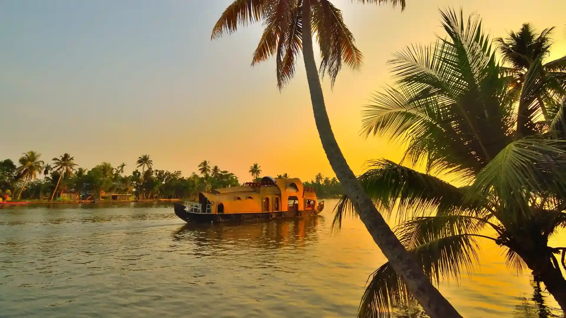Palm trees beside the Kerala backwaters